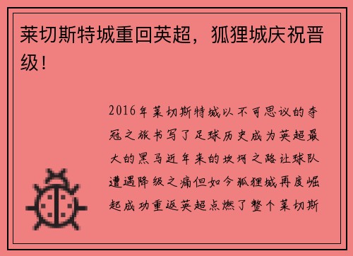 莱切斯特城重回英超，狐狸城庆祝晋级！